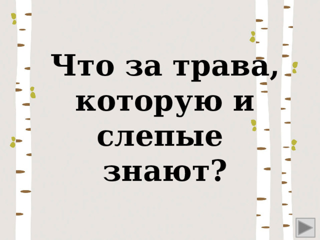 Что за трава, которую и слепые знают? 