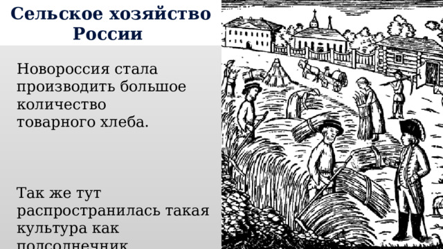 Сельское хозяйство России Новороссия стала производить большое количество товарного хлеба. Так же тут распространилась такая культура как подсолнечник. 