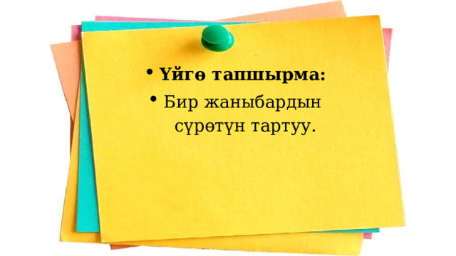 Үйгө тапшырма:  Бир жаныбардын сүрөтүн тартуу.   