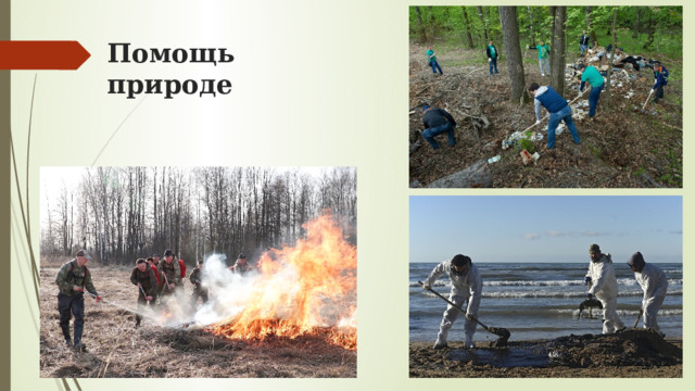 Помощь природе 