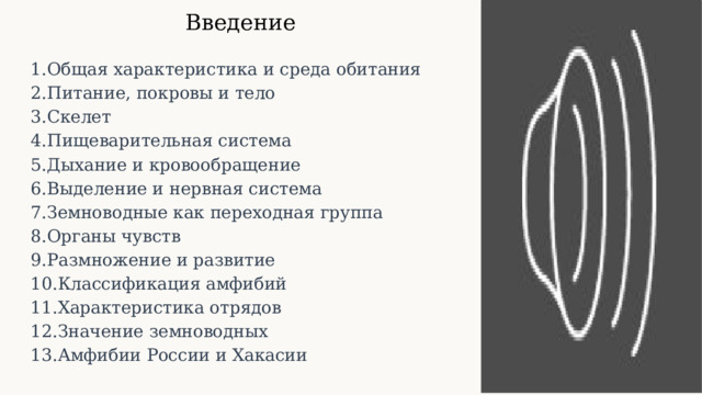 Введение Общая характеристика и среда обитания Питание, покровы и тело Скелет Пищеварительная система Дыхание и кровообращение Выделение и нервная система Земноводные как переходная группа Органы чувств Размножение и развитие Классификация амфибий Характеристика отрядов Значение земноводных Амфибии России и Хакасии 