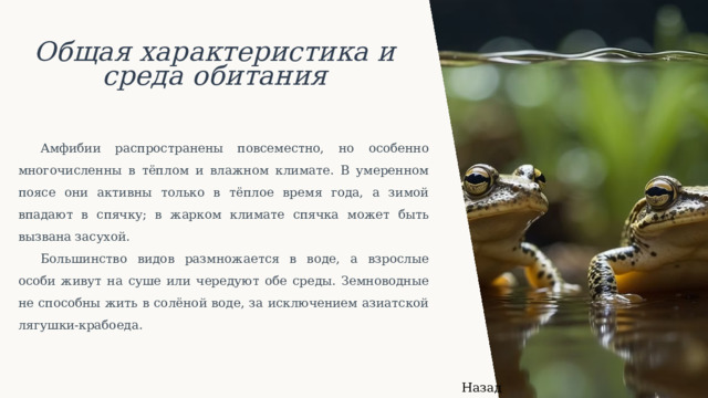  Общая характеристика и среда обитания Амфибии распространены повсеместно, но особенно многочисленны в тёплом и влажном климате. В умеренном поясе они активны только в тёплое время года, а зимой впадают в спячку; в жарком климате спячка может быть вызвана засухой. Большинство видов размножается в воде, а взрослые особи живут на суше или чередуют обе среды. Земноводные не способны жить в солёной воде, за исключением азиатской лягушки-крабоеда. Назад 