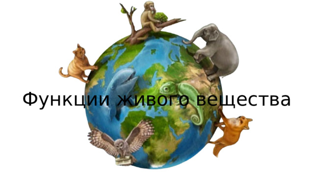 Функции живого вещества 