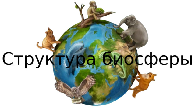  - это оболочка земли, населённая живыми организмами. Современная биосфера – продукт эволюционного развития планеты. Структура биосферы 