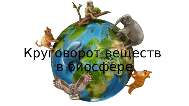 Круговорот веществ в биосфере 