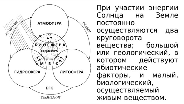 При участии энергии Солнца на Земле постоянно осуществляются два круговорота вещества; большой или геологический, в котором действуют абиотические факторы, и малый, биологический, осуществляемый живым веществом. 