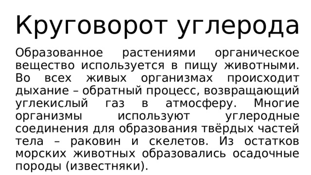 Круговорот углерода Образованное растениями органическое вещество используется в пищу животными. Во всех живых организмах происходит дыхание – обратный процесс, возвращающий углекислый газ в атмосферу. Многие организмы используют углеродные соединения для образования твёрдых частей тела – раковин и скелетов. Из остатков морских животных образовались осадочные породы (известняки). 
