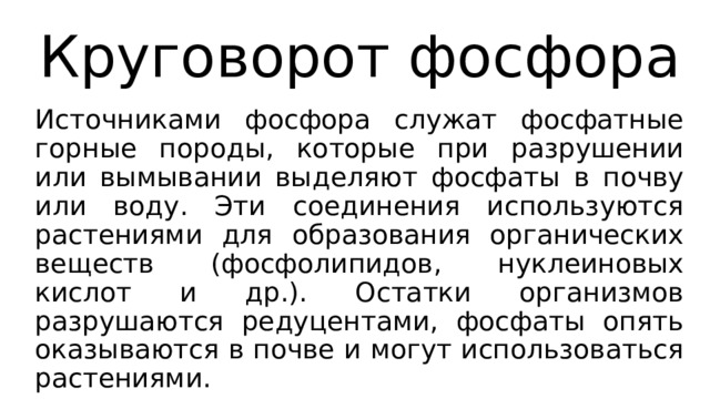Круговорот фосфора Источниками фосфора служат фосфатные горные породы, которые при разрушении или вымывании выделяют фосфаты в почву или воду. Эти соединения используются растениями для образования органических веществ (фосфолипидов, нуклеиновых кислот и др.). Остатки организмов разрушаются редуцентами, фосфаты опять оказываются в почве и могут использоваться растениями. 