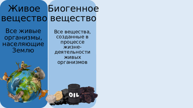 Живое вещество Биогенное вещество Все живые организмы, населяющие Землю Все вещества, созданные в процессе жизне-деятельности живых организмов Косное вещество Неживое вещество – минералы и горные породы, образованные без участия живых организмов 