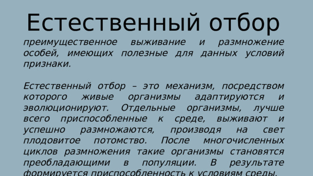 Естественный отбор преимущественное выживание и размножение особей, имеющих полезные для данных условий признаки.  Естественный отбор – это механизм, посредством которого живые организмы адаптируются и эволюционируют. Отдельные организмы, лучше всего приспособленные к среде, выживают и успешно размножаются, производя на свет плодовитое потомство. После многочисленных циклов размножения такие организмы становятся преобладающими в популяции. В результате формируется приспособленность к условиям среды. 