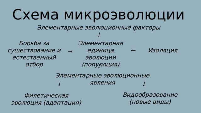 Схема микроэволюции Элементарные эволюционные факторы ↓ Борьба за существование и естественный отбор Элементарная единица эволюции (популяция) ← Изоляция → ↓ Элементарные эволюционные явления ↓ ↓ Видообразование (новые виды) Филетическая эволюция (адаптация) 