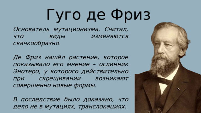 Гуго де Фриз Основатель мутационизма. Считал, что виды изменяются скачкообразно.  Де Фриз нашёл растение, которое показывало его мнение – ослинник Энотеро, у которого действительно при скрещивании возникают совершенно новые формы.  В последствие было доказано, что дело не в мутациях, транслокациях. 