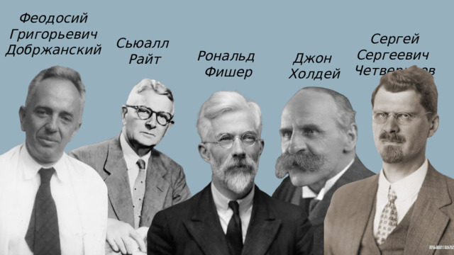 Генетический дарвинизм Феодосий Григорьевич Добржанский Сергей Сергеевич Четвериков Сьюалл  Райт Рональд Фишер Джон Холдей 