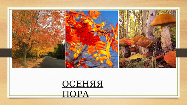 ОСЕНЯЯ ПОРА 