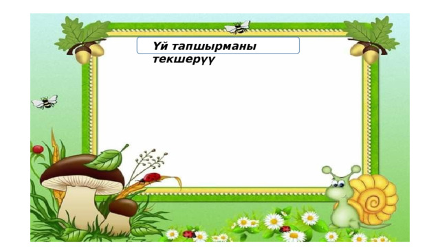 Үй тапшырманы текшерүү 