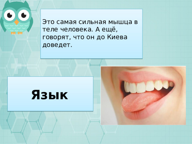 Это самая сильная мышца в теле человека. А ещё, говорят, что он до Киева доведет. Язык 