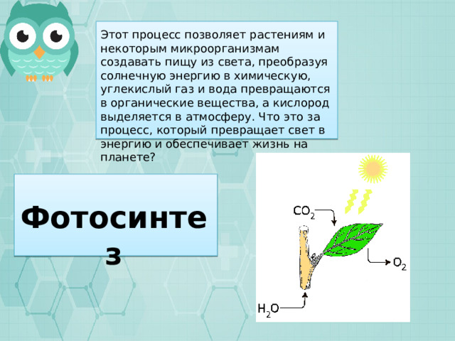 Этот процесс позволяет растениям и некоторым микроорганизмам создавать пищу из света, преобразуя солнечную энергию в химическую, углекислый газ и вода превращаются в органические вещества, а кислород выделяется в атмосферу. Что это за процесс, который превращает свет в энергию и обеспечивает жизнь на планете? Фотосинтез 