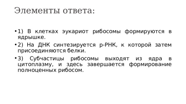 Элементы ответа:   1) В клетках эукариот рибосомы формируются в ядрышке. 2) На ДНК синтезируется р-РНК, к которой затем присоединяются белки. 3) Субчастицы рибосомы выходят из ядра в цитоплазму, и здесь завершается формирование полноценных рибосом. 