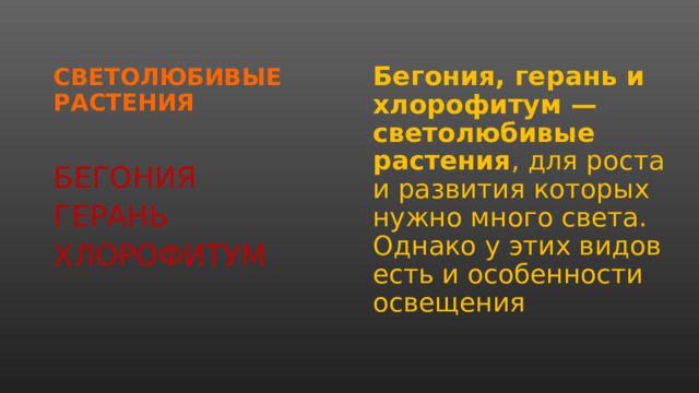  Бегония, герань и хлорофитум — светолюбивые растения , для роста и развития которых нужно много света. Однако у этих видов есть и особенности освещения СВЕТОЛЮБИВЫЕ РАСТЕНИЯ БЕГОНИЯ ГЕРАНЬ ХЛОРОФИТУМ 