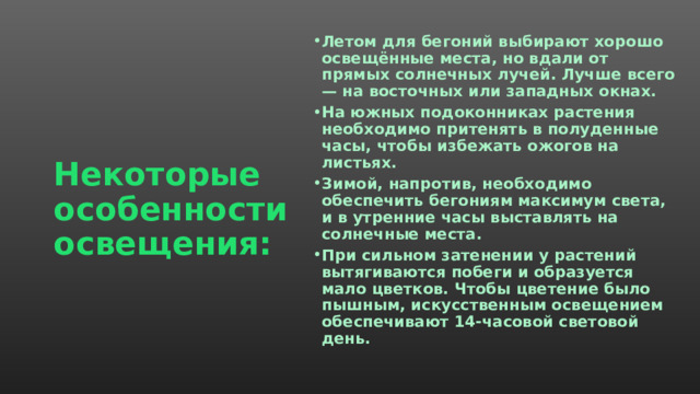 Некоторые особенности освещения: Летом для бегоний выбирают хорошо освещённые места, но вдали от прямых солнечных лучей. Лучше всего — на восточных или западных окнах. На южных подоконниках растения необходимо притенять в полуденные часы, чтобы избежать ожогов на листьях. Зимой, напротив, необходимо обеспечить бегониям максимум света, и в утренние часы выставлять на солнечные места. При сильном затенении у растений вытягиваются побеги и образуется мало цветков. Чтобы цветение было пышным, искусственным освещением обеспечивают 14-часовой световой день.  