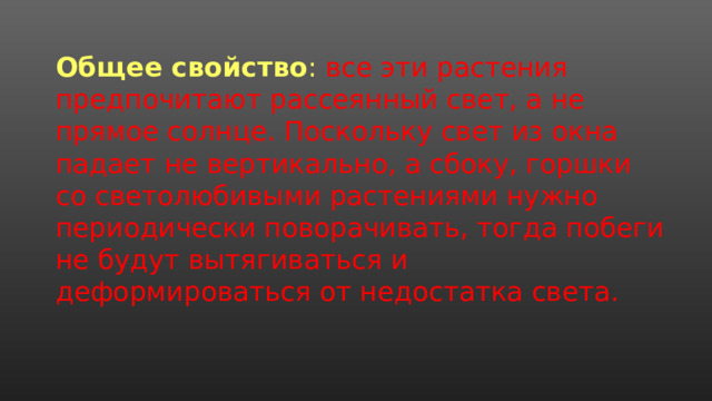 Общее свойство : все эти растения предпочитают рассеянный свет, а не прямое солнце. Поскольку свет из окна падает не вертикально, а сбоку, горшки со светолюбивыми растениями нужно периодически поворачивать, тогда побеги не будут вытягиваться и деформироваться от недостатка света. 