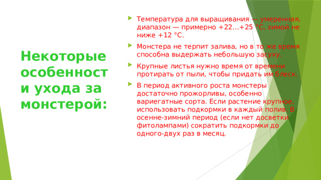 Температура для выращивания — умеренная, диапазон — примерно +22…+25 °C, зимой не ниже +12 °C. Монстера не терпит залива, но в то же время способна выдержать небольшую засуху. Крупные листья нужно время от времени протирать от пыли, чтобы придать им блеск. В период активного роста монстеры достаточно прожорливы, особенно вариегатные сорта. Если растение крупное, использовать подкормки в каждый полив. В осенне-зимний период (если нет досветки фитолампами) сократить подкормки до одного-двух раз в месяц. Некоторые особенности ухода за монстерой: 