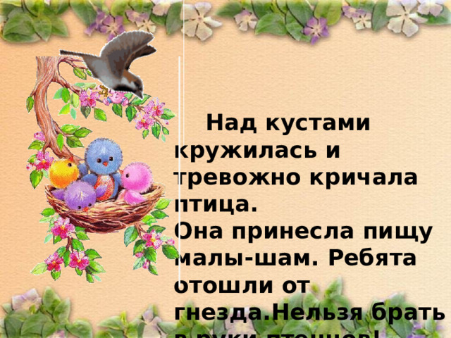  Над кустами кружилась и тревожно кричала птица. Она принесла пищу малы-шам. Ребята отошли от гнезда.Нельзя брать в руки птенцов! 