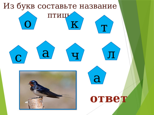 Из букв составьте название птицы о к т а л ч с а ответ 