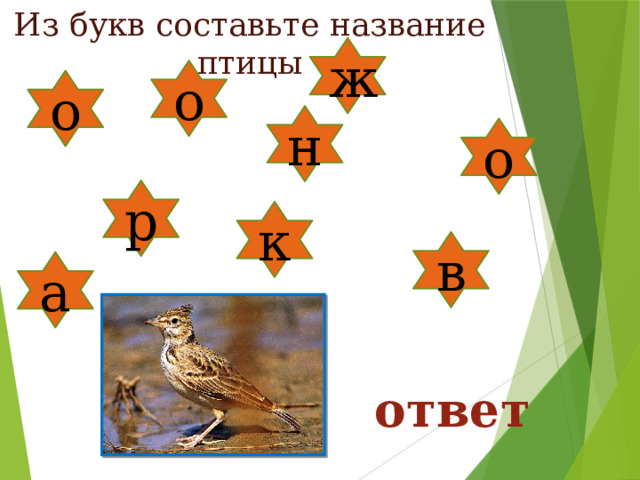 Из букв составьте название птицы ж о о н о р к в а ответ 
