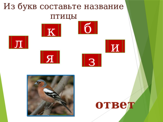 Из букв составьте название птицы б к л и я з ответ 