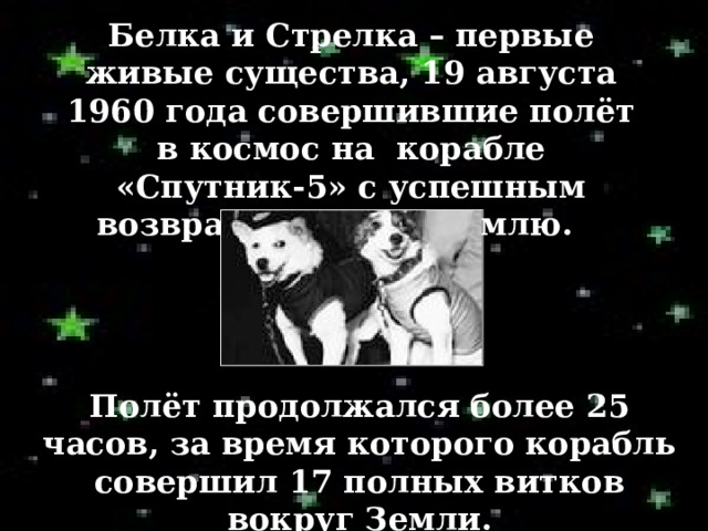 Белка и Стрелка – первые живые существа, 19 августа 1960 года совершившие полёт в космос на корабле «Спутник-5» с успешным возвращением на Землю. Полёт продолжался более 25 часов, за время которого корабль совершил 17 полных витков вокруг Земли. 