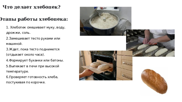Что делает хлебопек? Этапы работы хлебопека: 1. Хлебопек смешивает муку, воду, дрожжи, соль. 2.Замешивает тесто руками или машиной. 3.Ждет, пока тесто поднимется (отдыхает около часа). 4.Формирует буханки или батоны. 5.Выпекает в печи при высокой температуре. 6.Проверяет готовность хлеба, постукивая по корочке.  