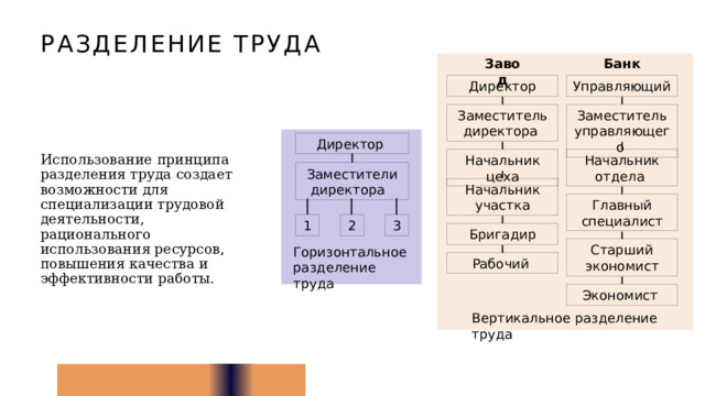 Разделение труда Банк Завод Директор Управляющий Заместитель директора Заместитель управляющего Директор Начальник отдела Начальник цеха Использование принципа разделения труда создает возможности для специализации трудовой деятельности, рационального использования ресурсов, повышения качества и эффективности работы. Заместители директора Начальник участка Главный специалист 3 2 1 Бригадир Старший экономист Горизонтальное разделение труда Рабочий Экономист Вертикальное разделение труда 10 