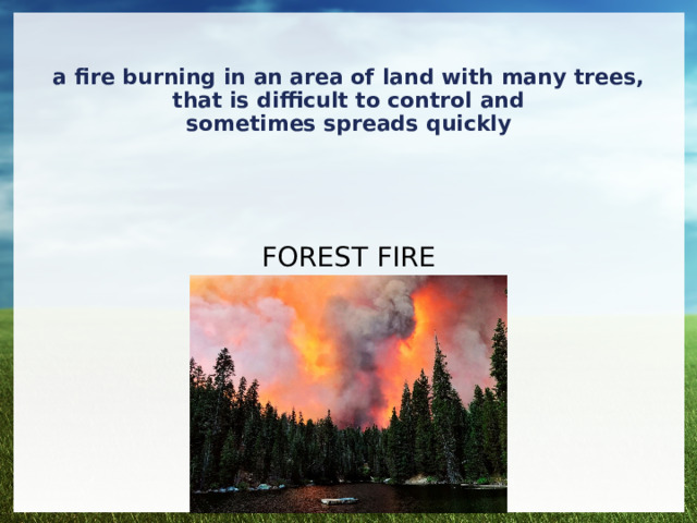 a fire burning in an area of land with many trees, that is difficult to control and sometimes spreads quickly FOREST FIRE 