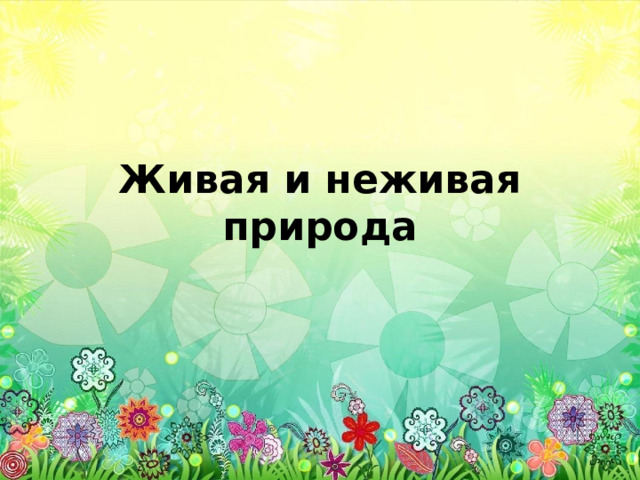 Живая и неживая природа 