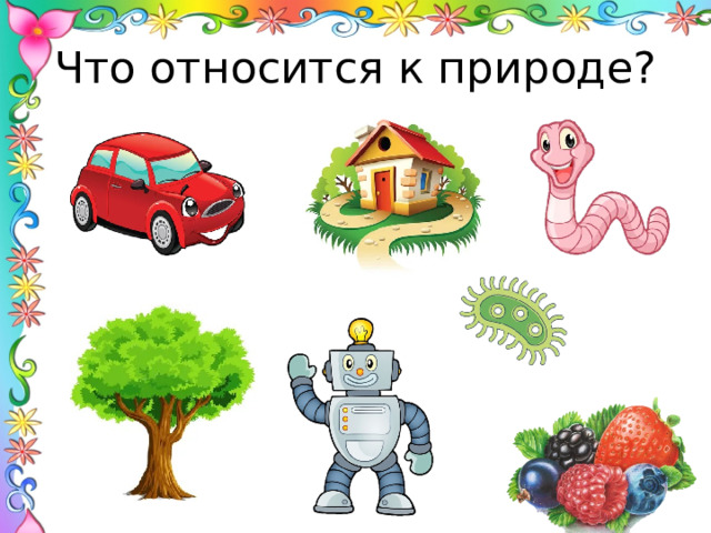 Что относится к природе? 