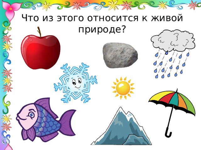 Что из этого относится к живой природе? 