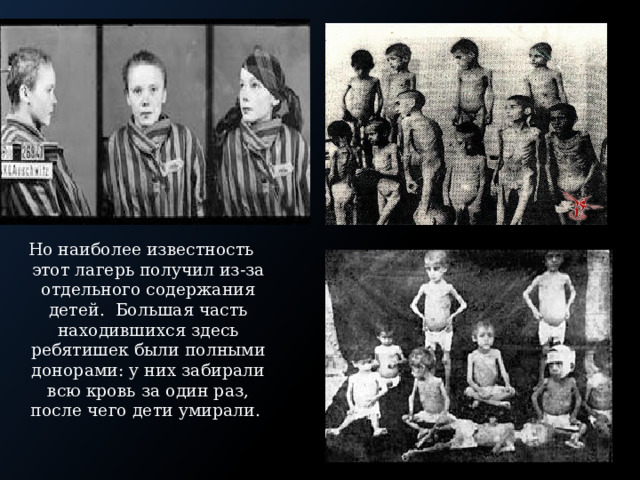 Но наиболее известность этот лагерь получил из-за отдельного содержания детей. Большая часть находившихся здесь ребятишек были полными донорами: у них забирали всю кровь за один раз, после чего дети умирали. 