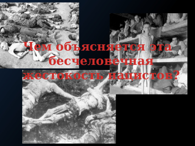 Чем объясняется эта бесчеловечная жестокость нацистов?  