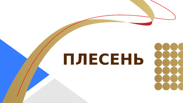плесень  
