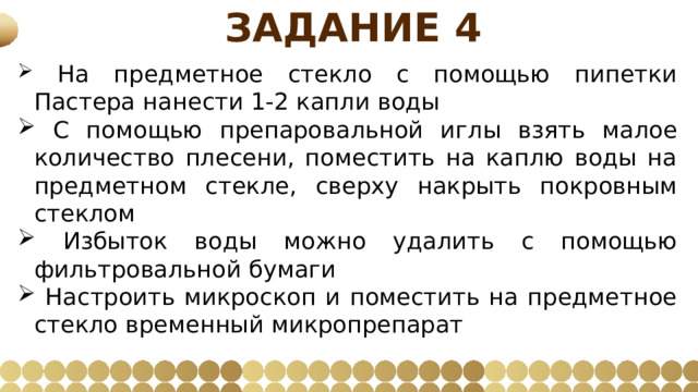 Задание 4  На предметное стекло с помощью пипетки Пастера нанести 1-2 капли воды  С помощью препаровальной иглы взять малое количество плесени, поместить на каплю воды на предметном стекле, сверху накрыть покровным стеклом  Избыток воды можно удалить с помощью фильтровальной бумаги  Настроить микроскоп и поместить на предметное стекло временный микропрепарат 