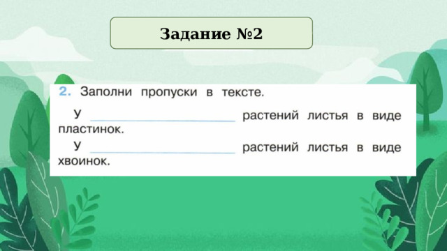 Задание №2  