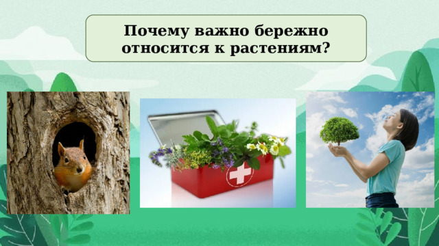 Почему важно бережно относится к растениям? 