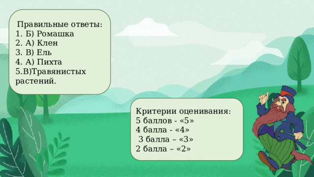 Правильные ответы: 1. Б) Ромашка 2. А) Клен 3. В) Ель 4. А) Пихта 5.В)Травянистых растений. Критерии оценивания: 5 баллов - «5» 4 балла - «4»  3 балла – «3» 2 балла – «2» 