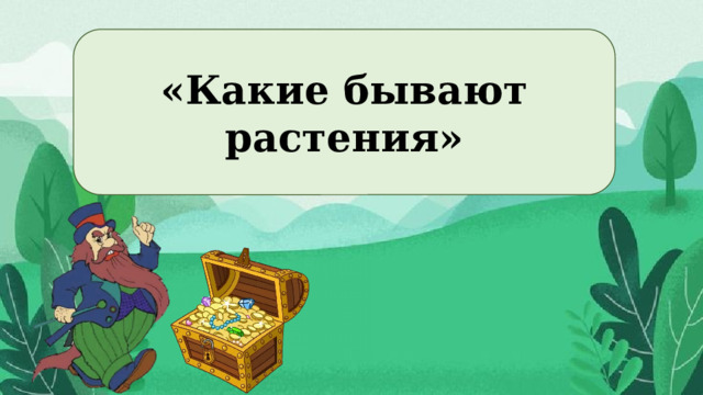 «Какие бывают растения»  