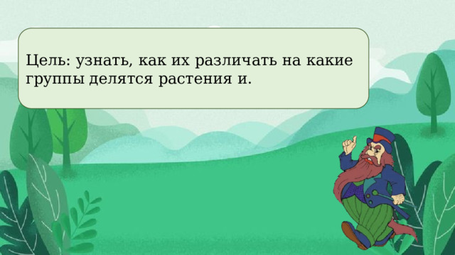 Цель: узнать, как их различать на какие группы делятся растения и.  