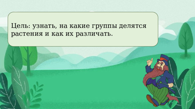 Цель: узнать, на какие группы делятся растения и как их различать.  