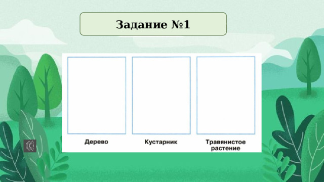 Задание №1  
