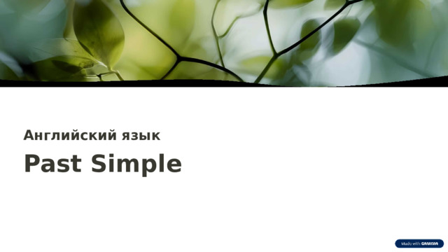 Английский язык Past Simple  