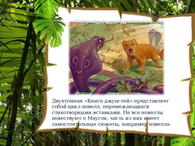 Двухтомная  «Книга  джунглей»  представляет  собой  цикл новелл,  перемежающихся  стихотворными  вставками. Не все  новеллы  повествуют  о  Маугли,  часть  из  них  имеет самостоятельные  сюжеты,  например  новелла- сказка «Рикки- Тикки- Тави». 